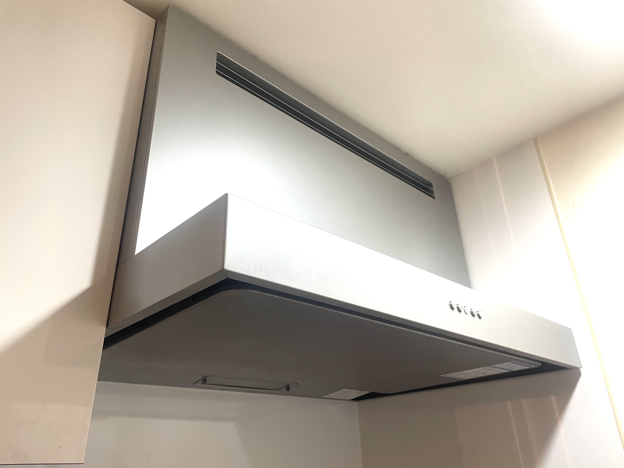 �����W�t�[�h�N���[�j���O